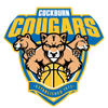 Home Team Logo