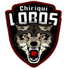 LOBOS DE CHIRIQUÍ team logo