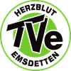 TV Emsdetten
